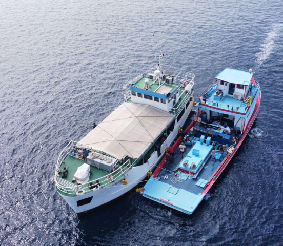 MIFCO disburses over MVR 342 million to fishermen so far this year