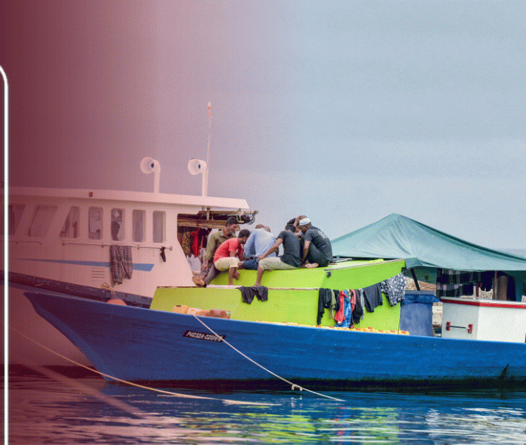 Fisheries Ministry doubles loan for saltwater fish cooling systems to MVR 4 million