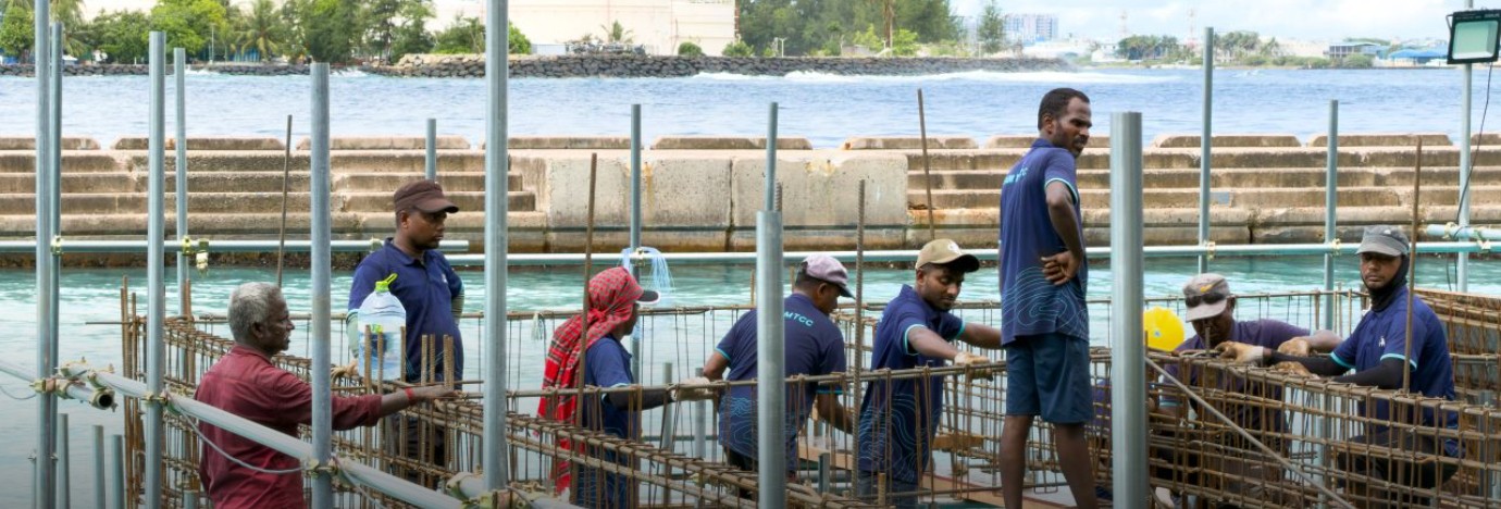 ILO Warns Maldives Faces $576 Million Annual Productivity Loss by 2040 Due to Workplace Heat
