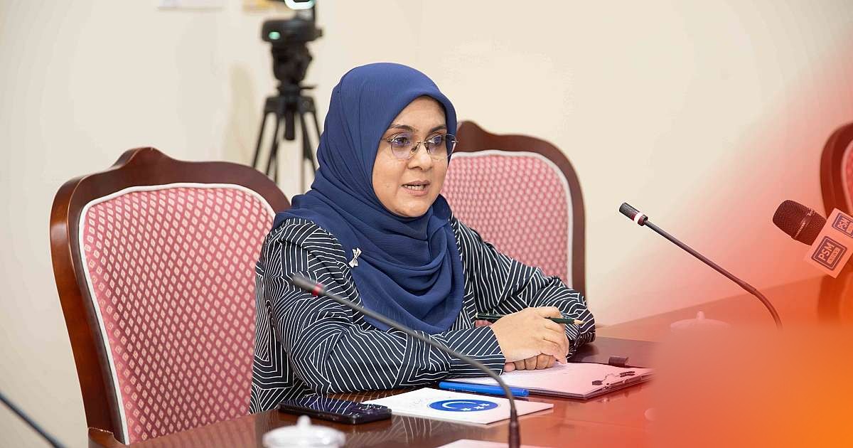 Maldives gov't proposes stricter tax appeal rules, requiring 50% payment upfront