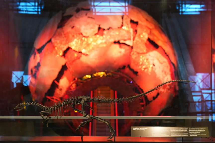 France Returns 70-Million-Year-Old Dinosaur Skeleton to Mongolia After Decade-Long Dispute