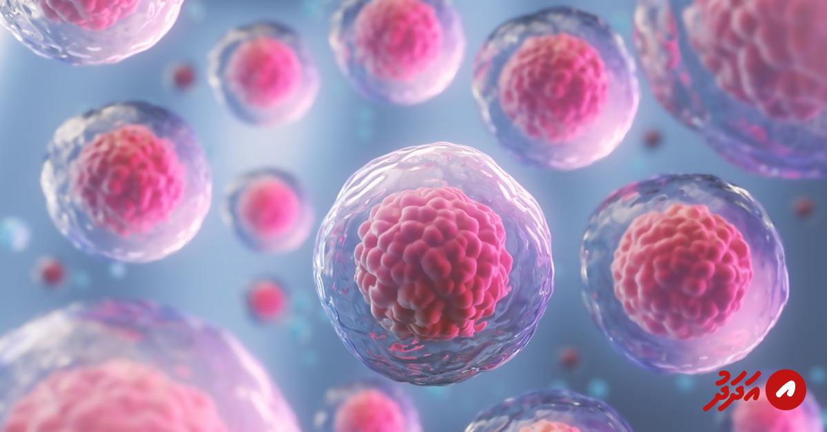 Stem Cell Therapy Shows Promise in Eliminating HIV from Patients