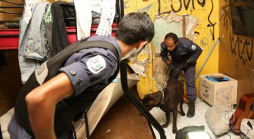 Four Arrested in Narcotics Bust Claim Police Mistook ‘Protein’ for Drugs