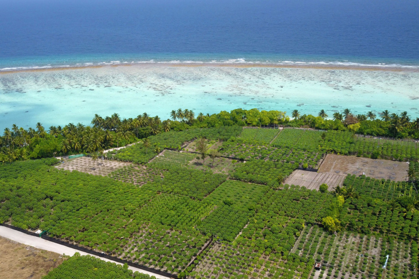 Auditor General Urges Thoddoo Council-Owned Company to Boost Financial Independence