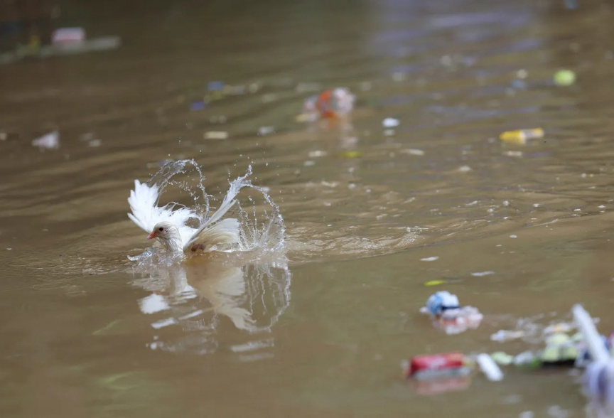 Contaminated Water Outbreak Claims Nine Lives and Hospitalizes Over 200 in India’s Indore