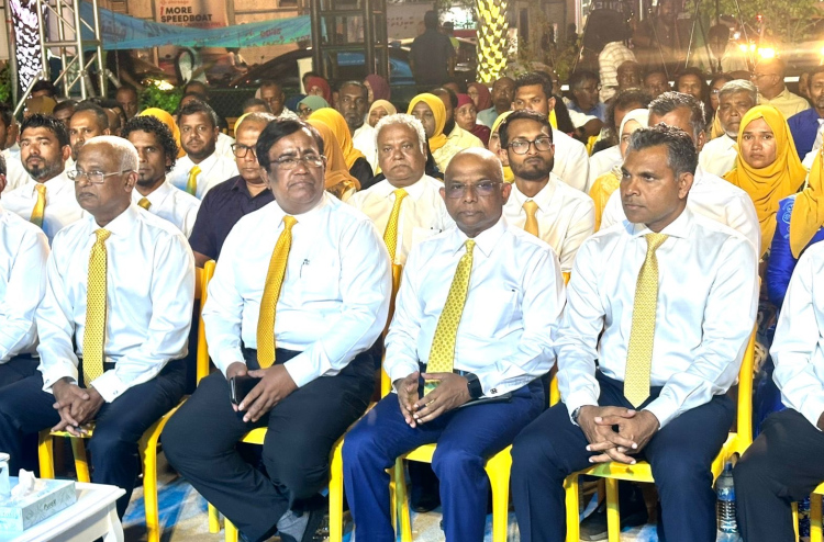 If Councils Were Given to PNC, They Would Not Have Been Restructured: Ghafoor
