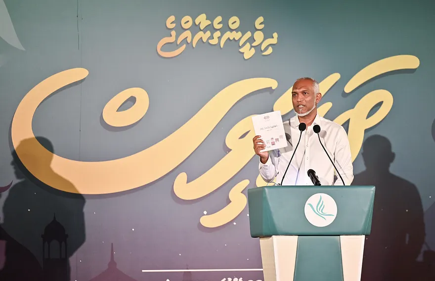 Mayor Raises Concerns Over Male City Council's Strategic Action Plan