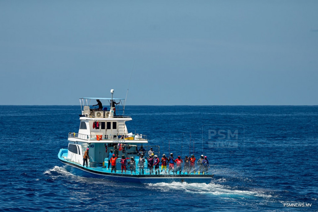 Government Expands Subsidised Fuel Access Across 13 Ports to Support Fishermen