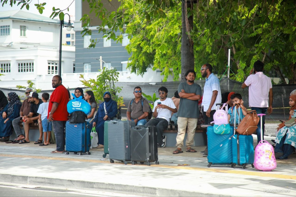 HPA Urges Public Vigilance as Dengue and Respiratory Illnesses Surge During Holidays
