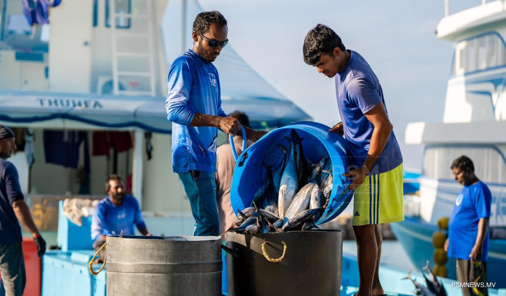 MIFCO Pays USD 2 Million to Fishermen as Monsoon Slows May Catch