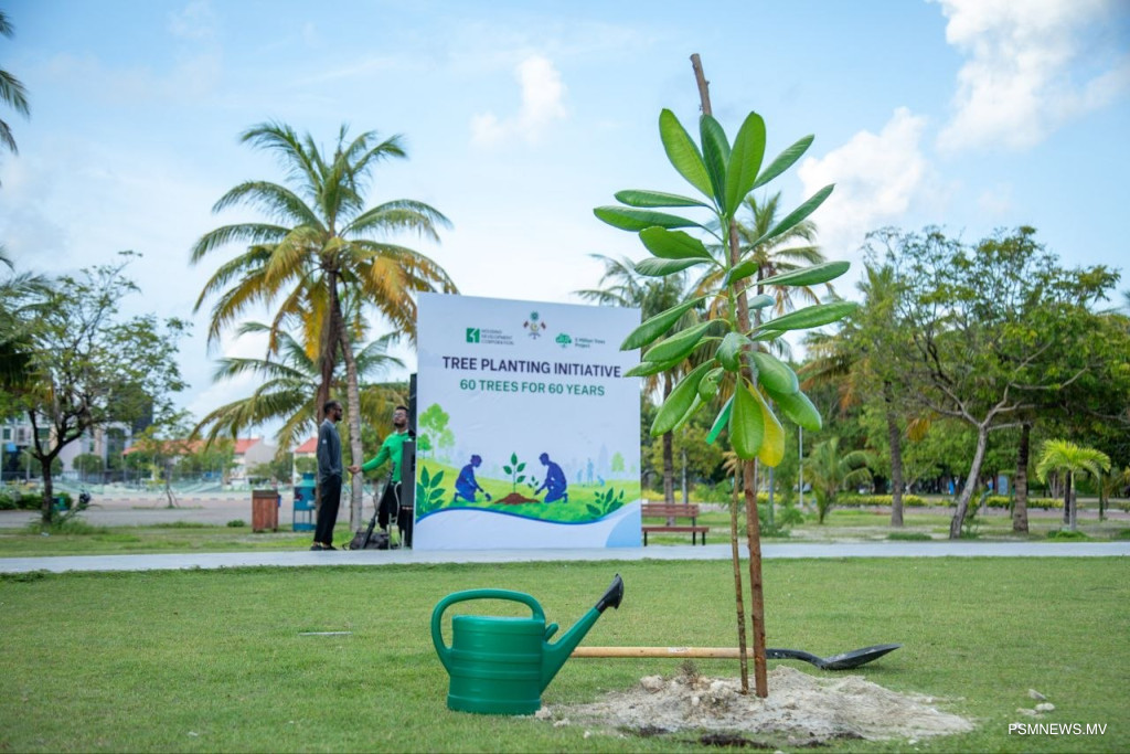 Maldives Targets One Million New Trees This Year to Combat Climate Change