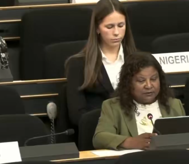 Maldives Urges International Community to Hold Israel Accountable for Palestinian Territories