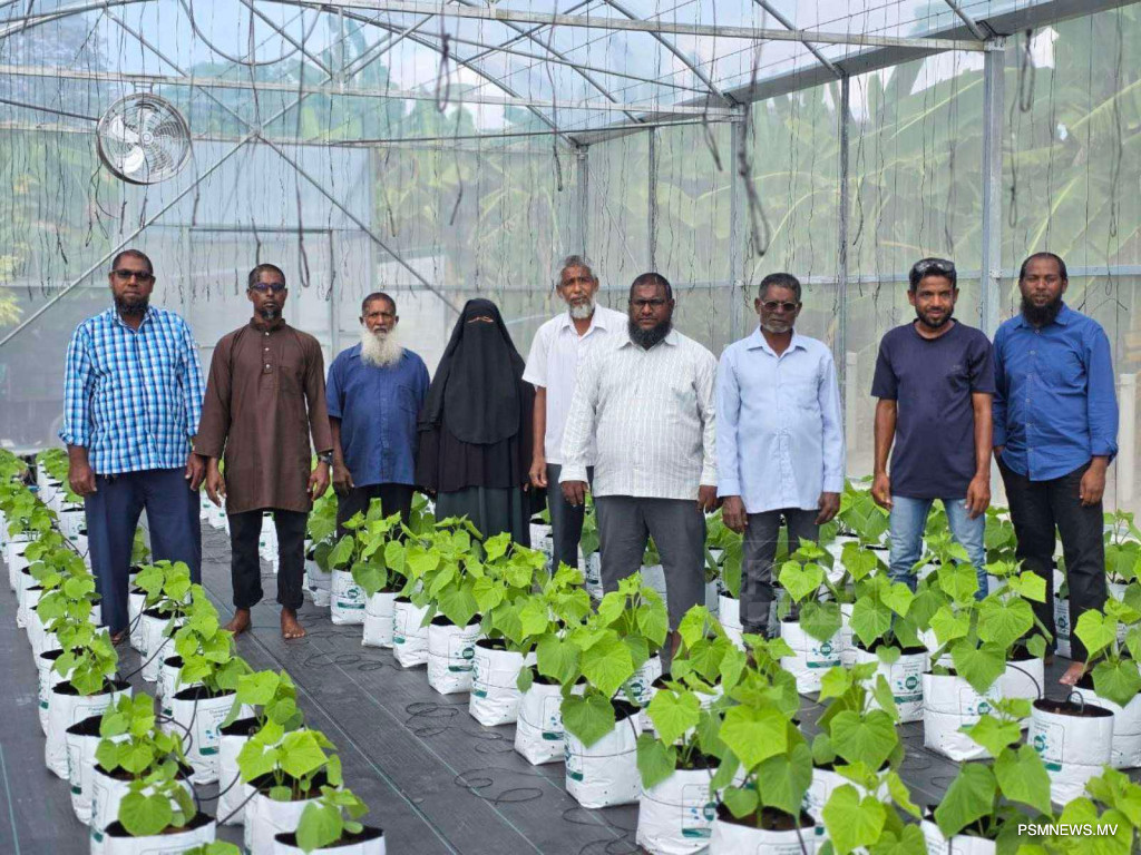 Agribusiness Grant Opens to Help Northern Island Farmers Adopt Climate-Smart Technology
