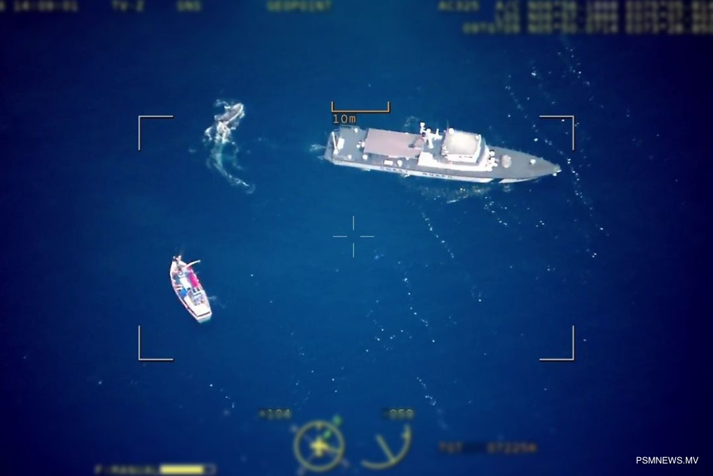 MNDF Intercepts Foreign Fishing Vessels Near Gaafu Dhaalu Atoll and Fuvahmulah