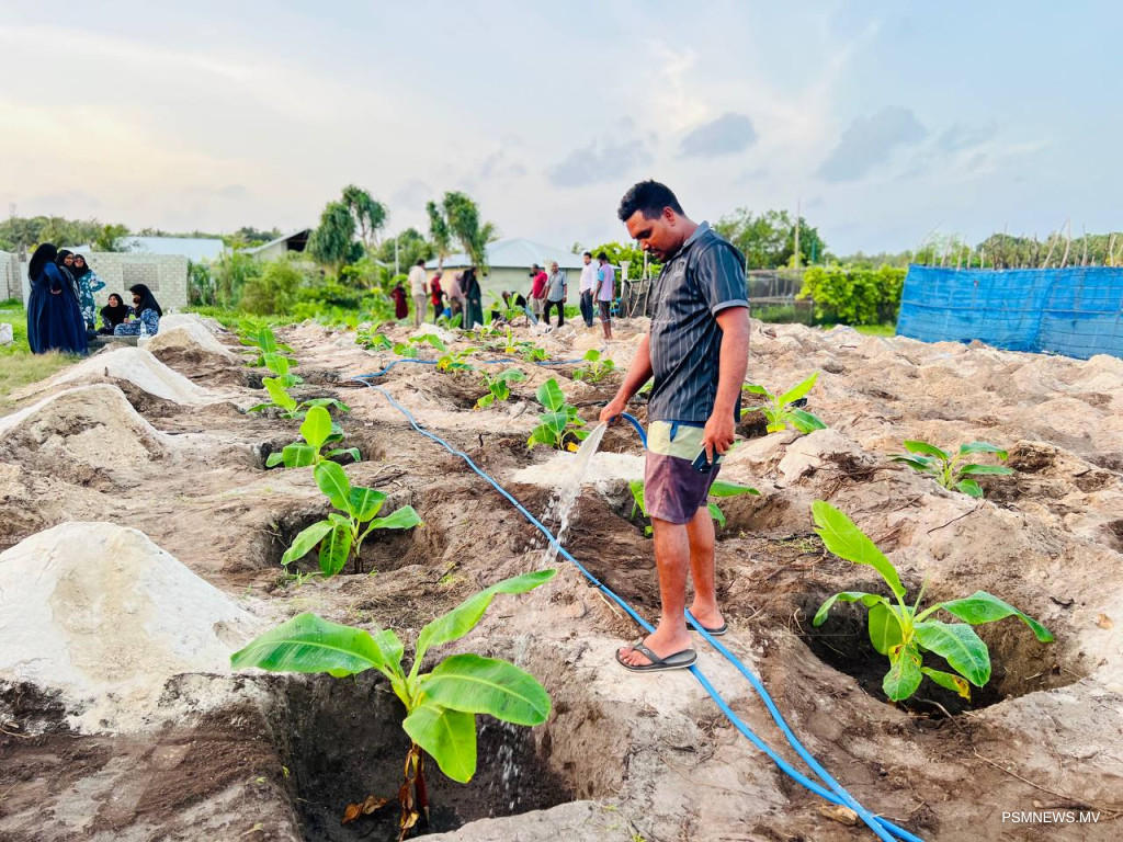 Vilunveshi Grant Programme Launches to Boost Climate Resilience and Food Security