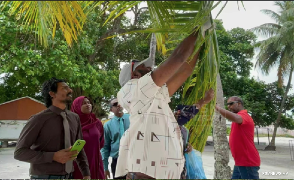 Government Launches Nationwide Pesticide Rollout to Combat Destructive Coconut Whitefly Infestation
