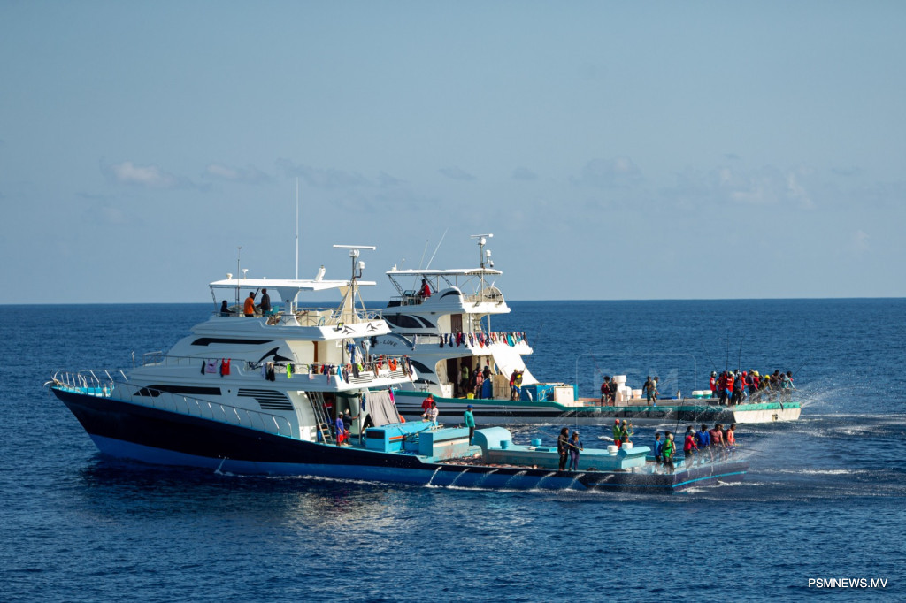 Maldivian Fish Exports Plummet 62 Percent in First Half of Year