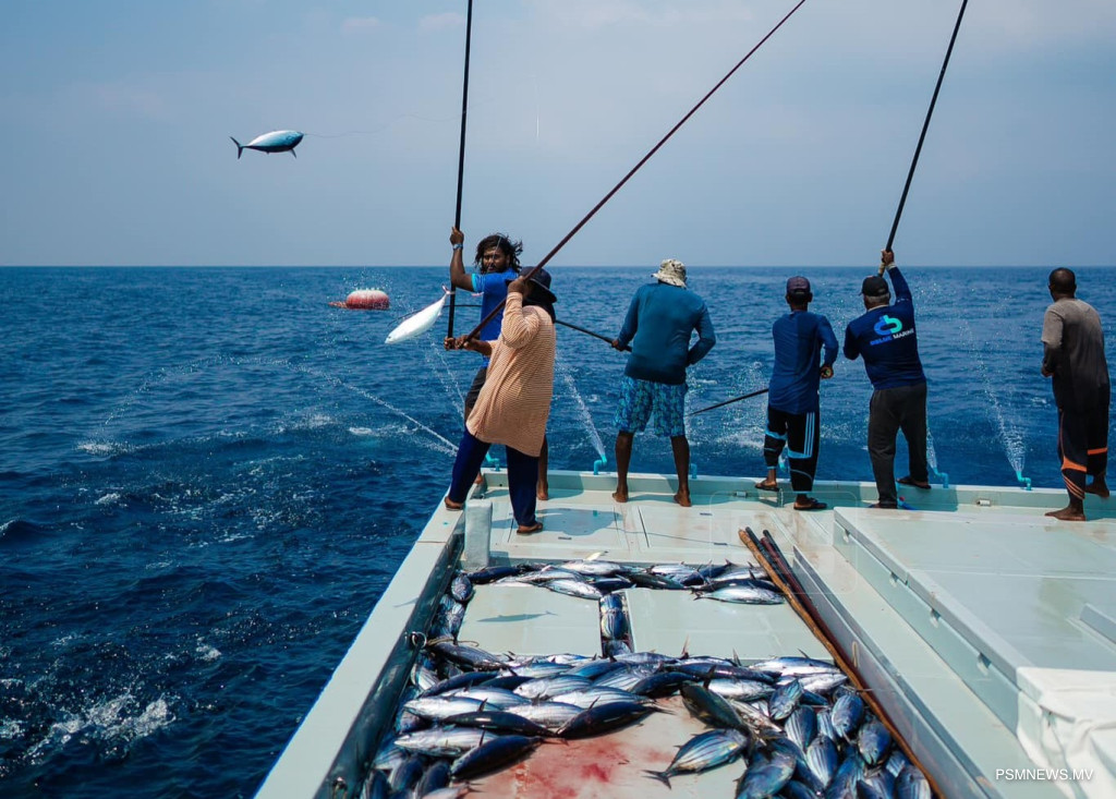 MIFCO Payments Surge to $3.2 Million as July Fish Purchases Skyrocket