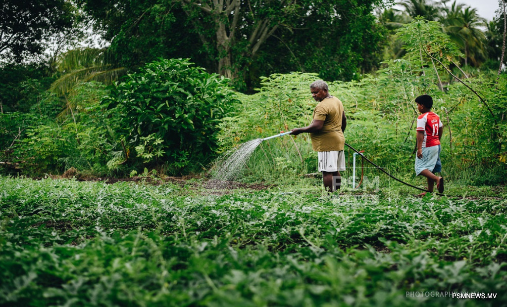 Maldives-Türkiye Trade Pact Removes Duties on High-Tech Farming Equipment