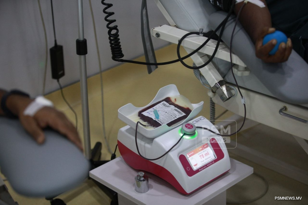 Women Make Up Majority of Thalassaemia Patients in Maldives, Data Shows