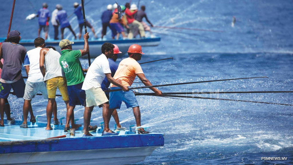 Parliament Passes lFisheries Act Amendments to Criminalize Protected Species Fishing