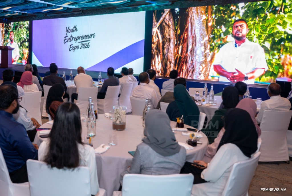 Over 3,000 Young Entrepreneurs Secure $19.5 Million in Collateral-Free Financing