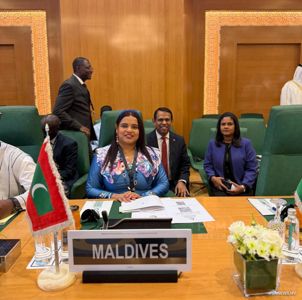 Foreign Minister Urges OIC to Take Decisive Action for Palestinian Statehood