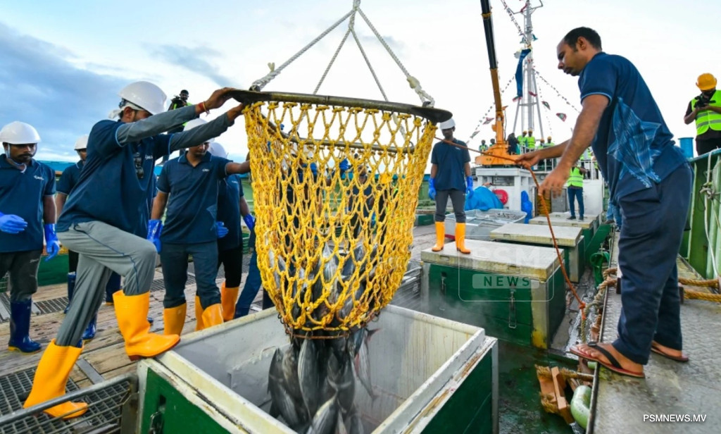 MIFCO Increases Fish Purchase Price to Boost Fisherman Earnings During Low Season