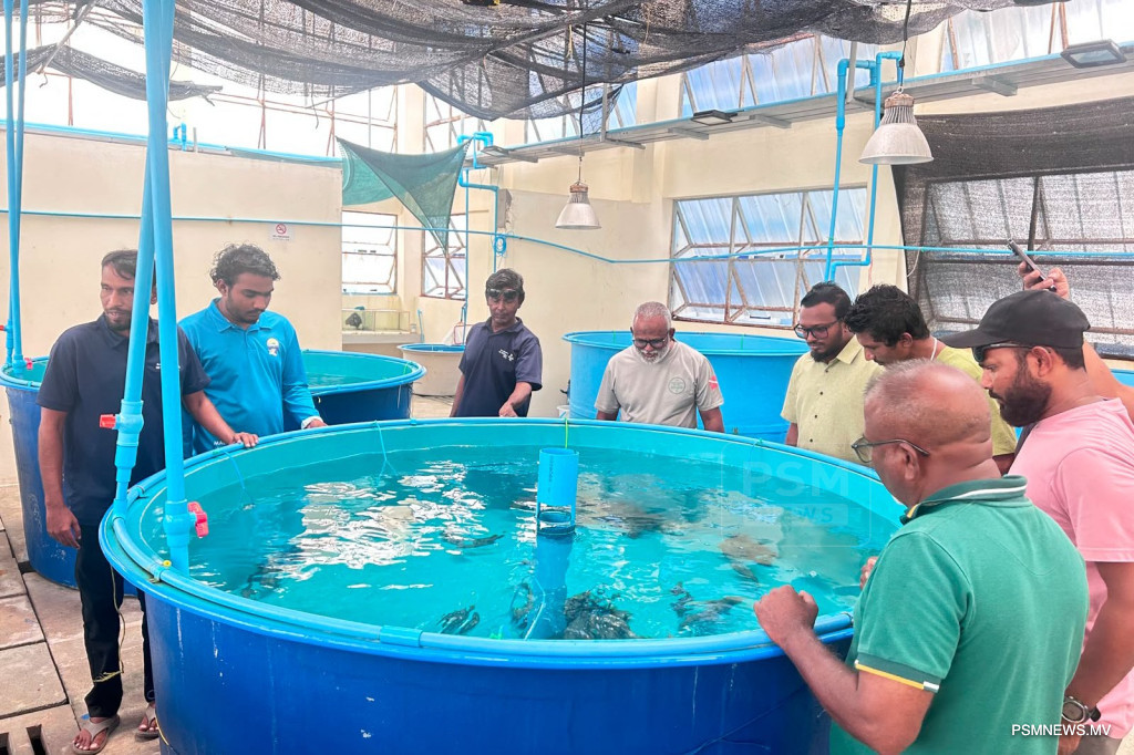 Ministry Opens Applications for Marine Hatchery Course to Boost Aquaculture Skills