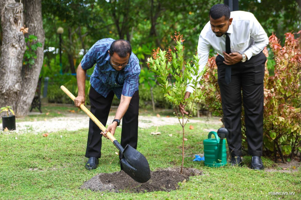 Maldives Surpasses Two Million Tree Milestone in Nationwide Reforestation Effort