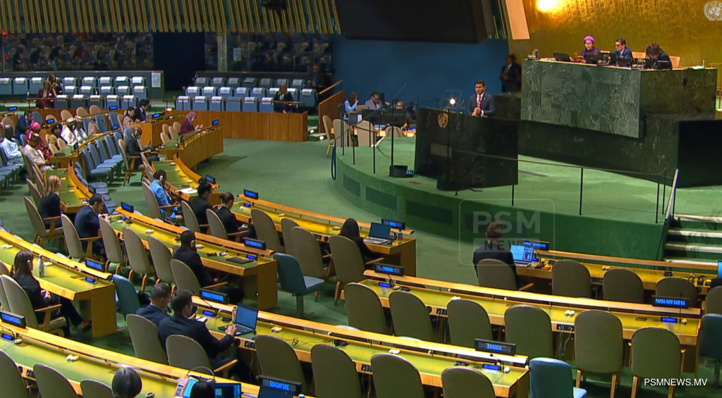 Vice President Demands UN Security Council Reform to Empower Small Island States