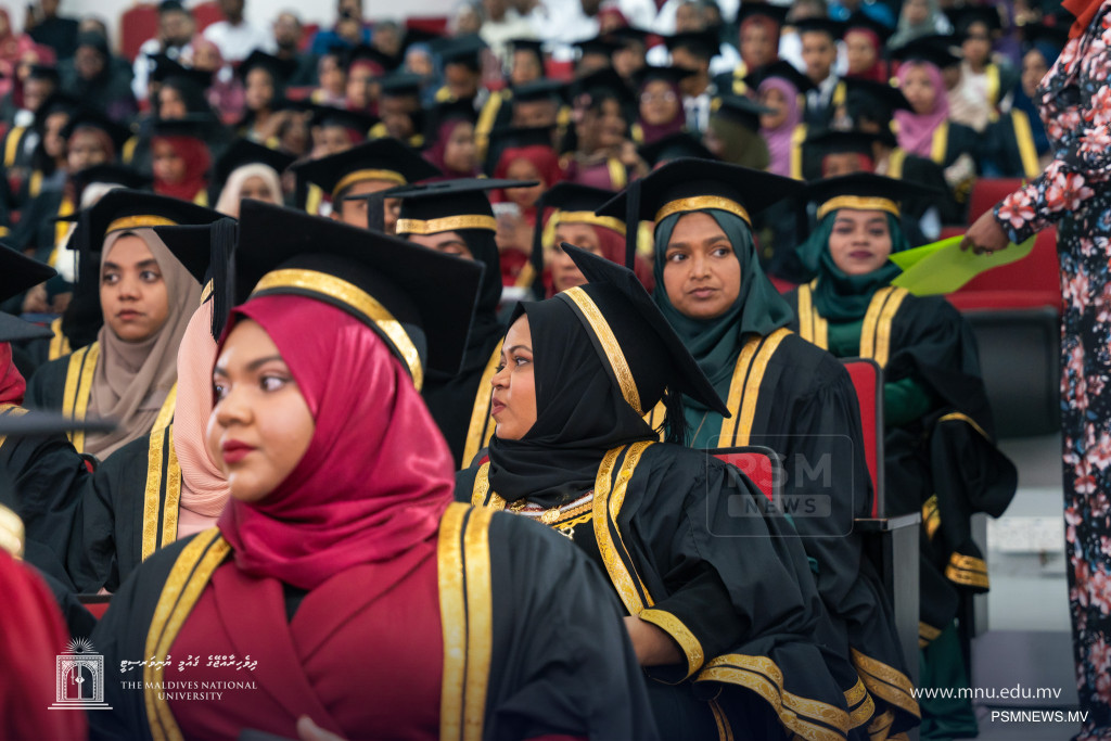 Audit Reveals Management Degrees Dominate State-Funded Scheme Amid $1.2 Million Loss