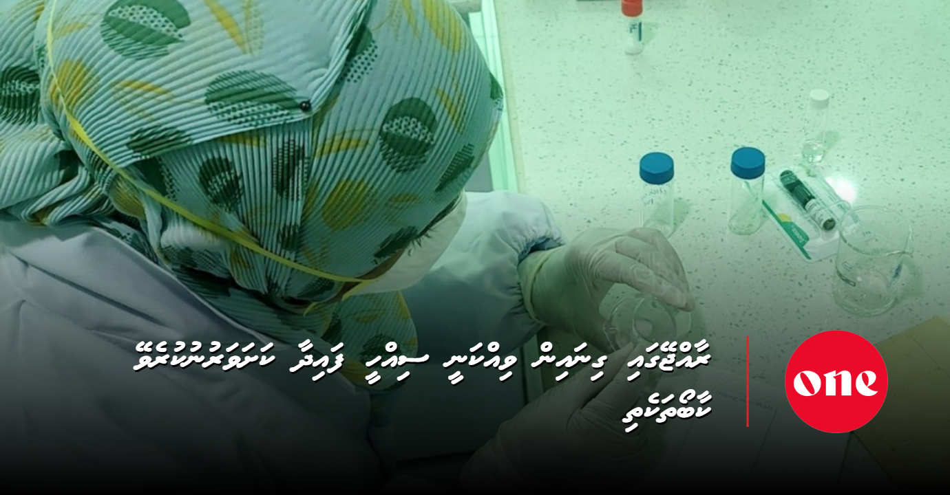 Many foods sold in Maldives lack scientifically proven health benefits: MFDA