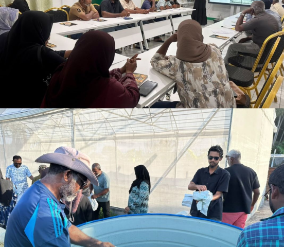 Farmers from 7 islands join greenhouse training in H. Hanimaadhoo