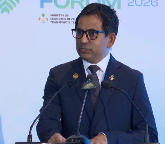 Maldives Ready to Work Closely with Pakistan to Boost Trade to $200 Million: Minister