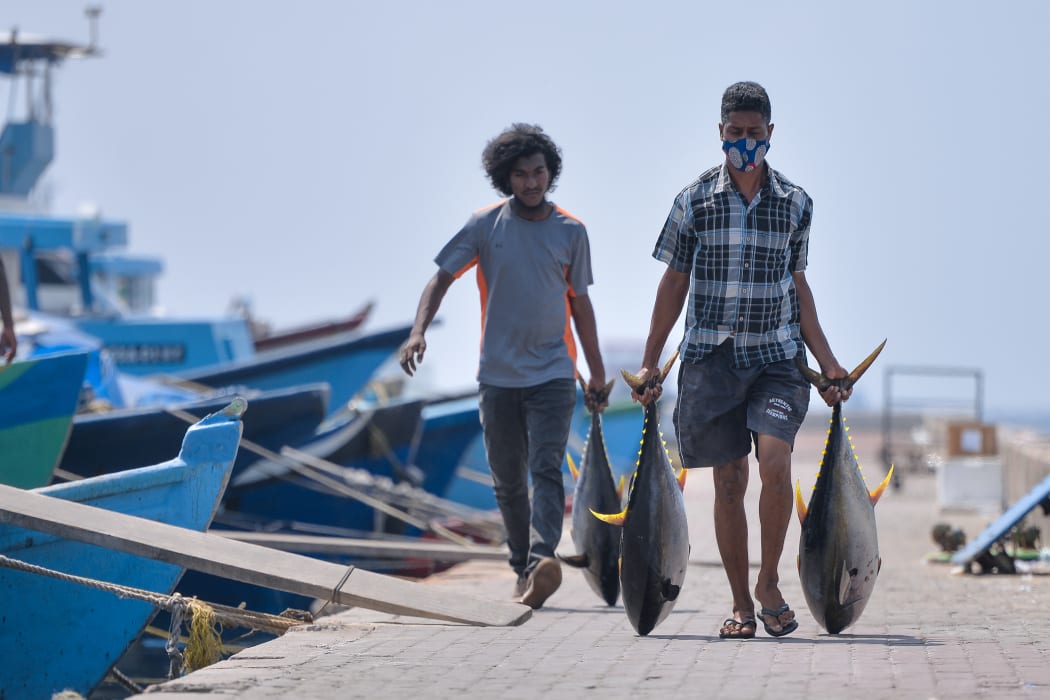 Climate Change Could Cut Maldives Fish Catch by 75% by 2100, Study Warns
