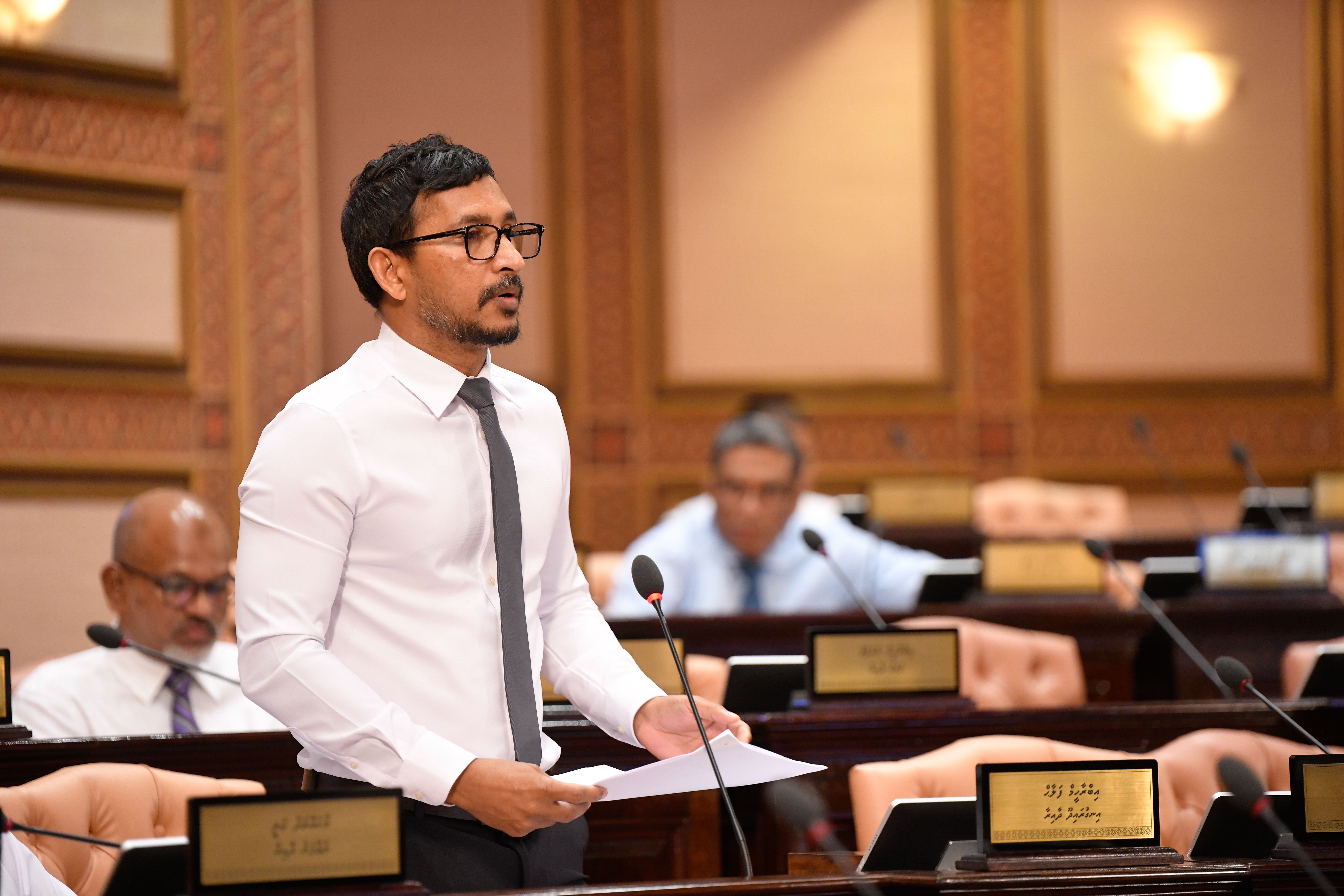 PNC PG Leader Falahu Warns MDP MPs Will Lose Right to Propose Resolutions
