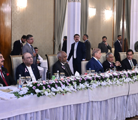 Muizzu and First Lady attend official dinner hosted by Pakistan's President Zardari