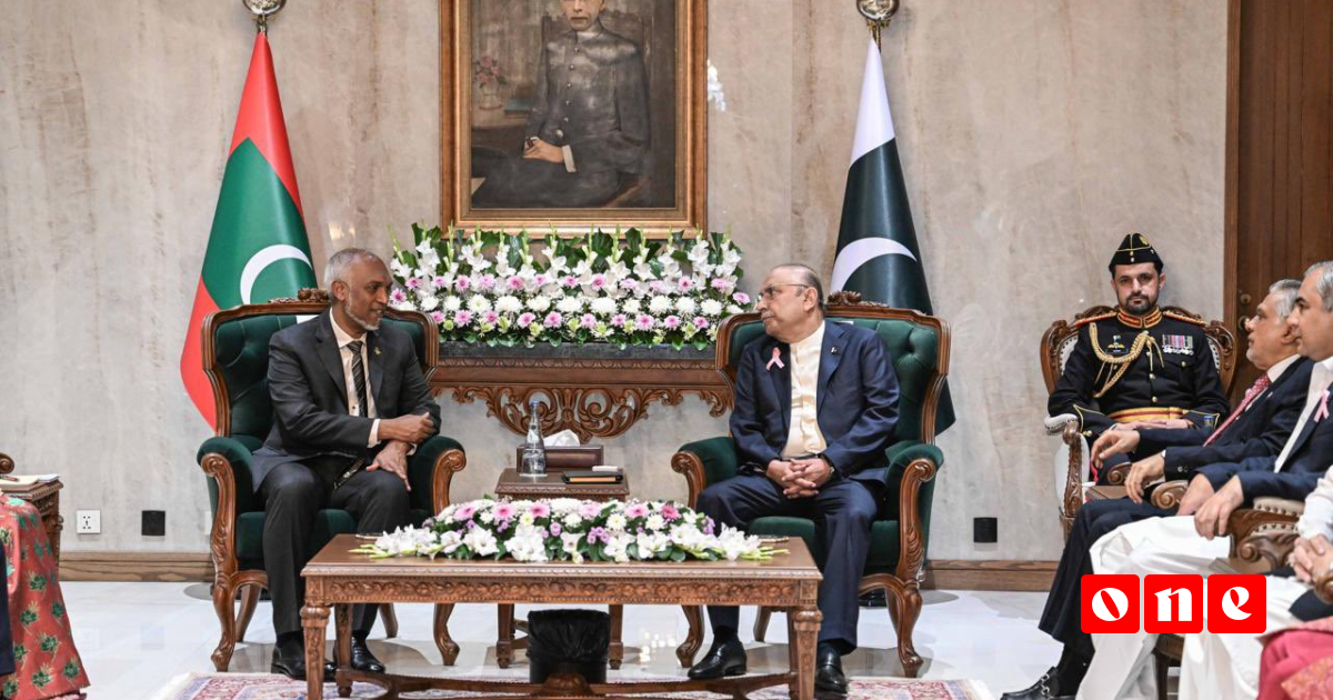 President Muizzu meets Pakistani President Asif Ali Zardari