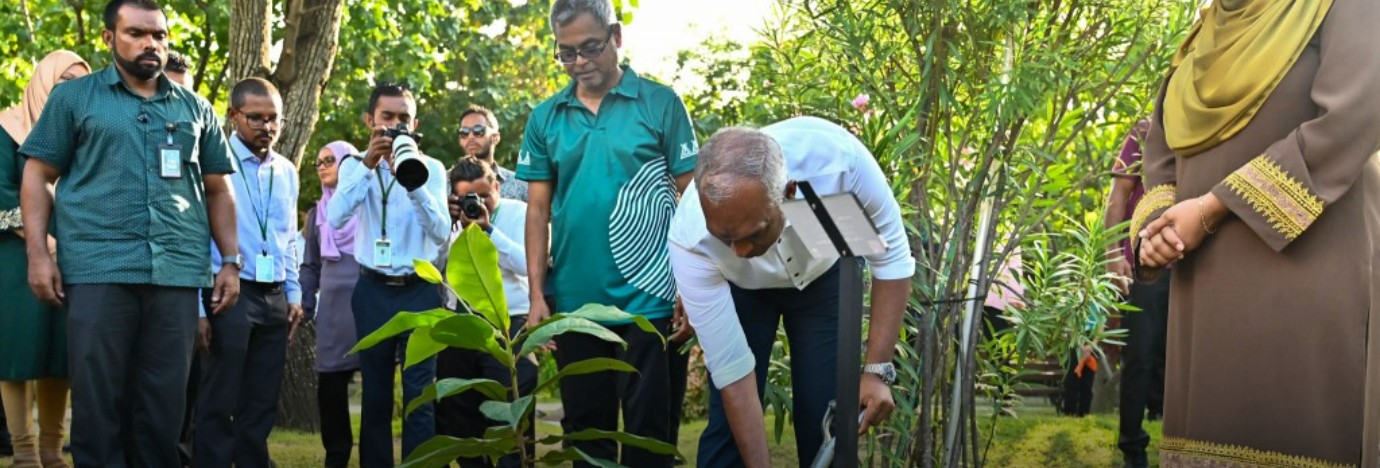 Over 2.4 Million Trees Planted Under Maldives' Five Million Tree Initiative